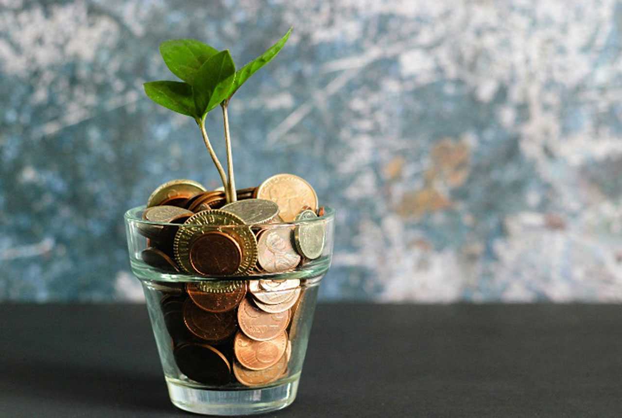 A small green sprout growing out of a glass jar filled with various gold and copper coins, symbolizing financial growth and investment.